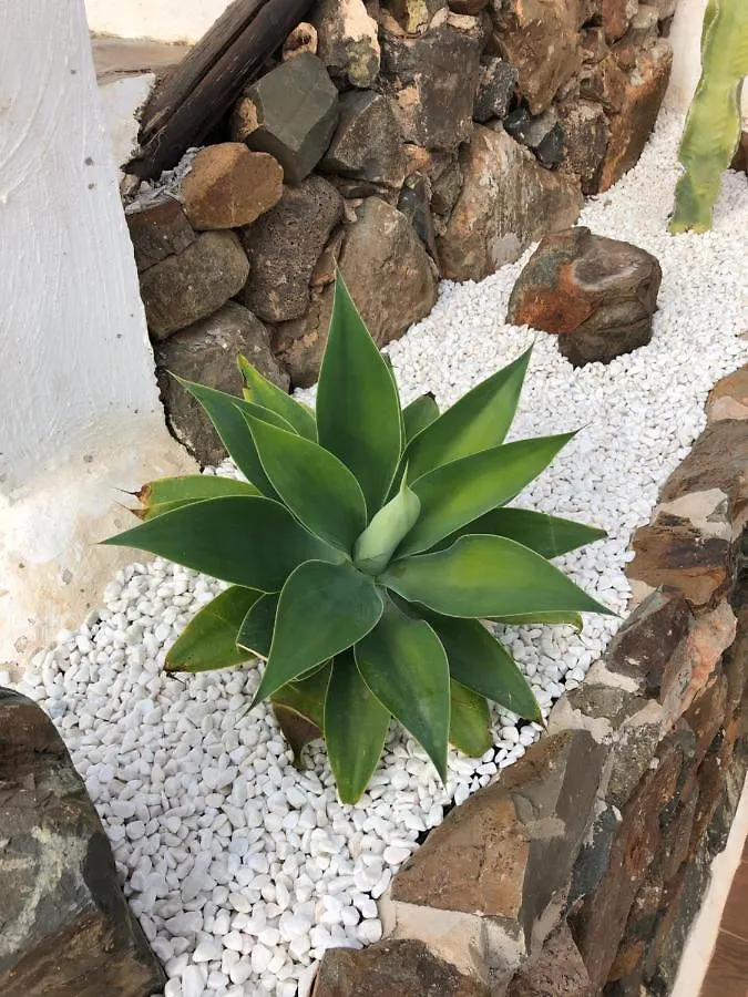 Agua Villa Agua de Bueyes Holiday home